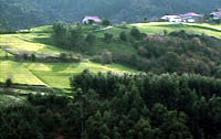 San Andrés
