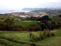 Arana