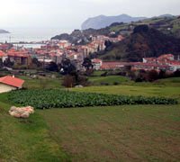 Mikel deuna auzoa